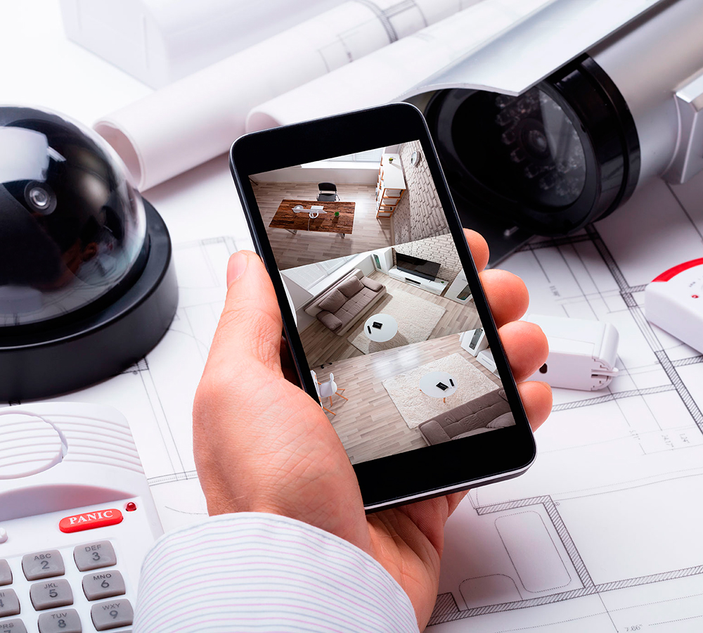 Seguridad Electrónica